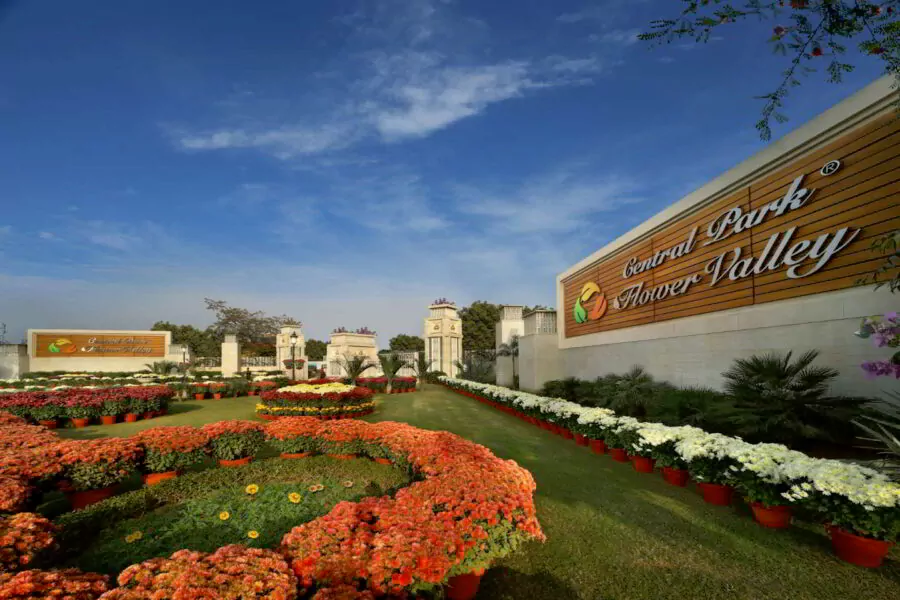 Mikasa Plots – Central Park Flower Valley